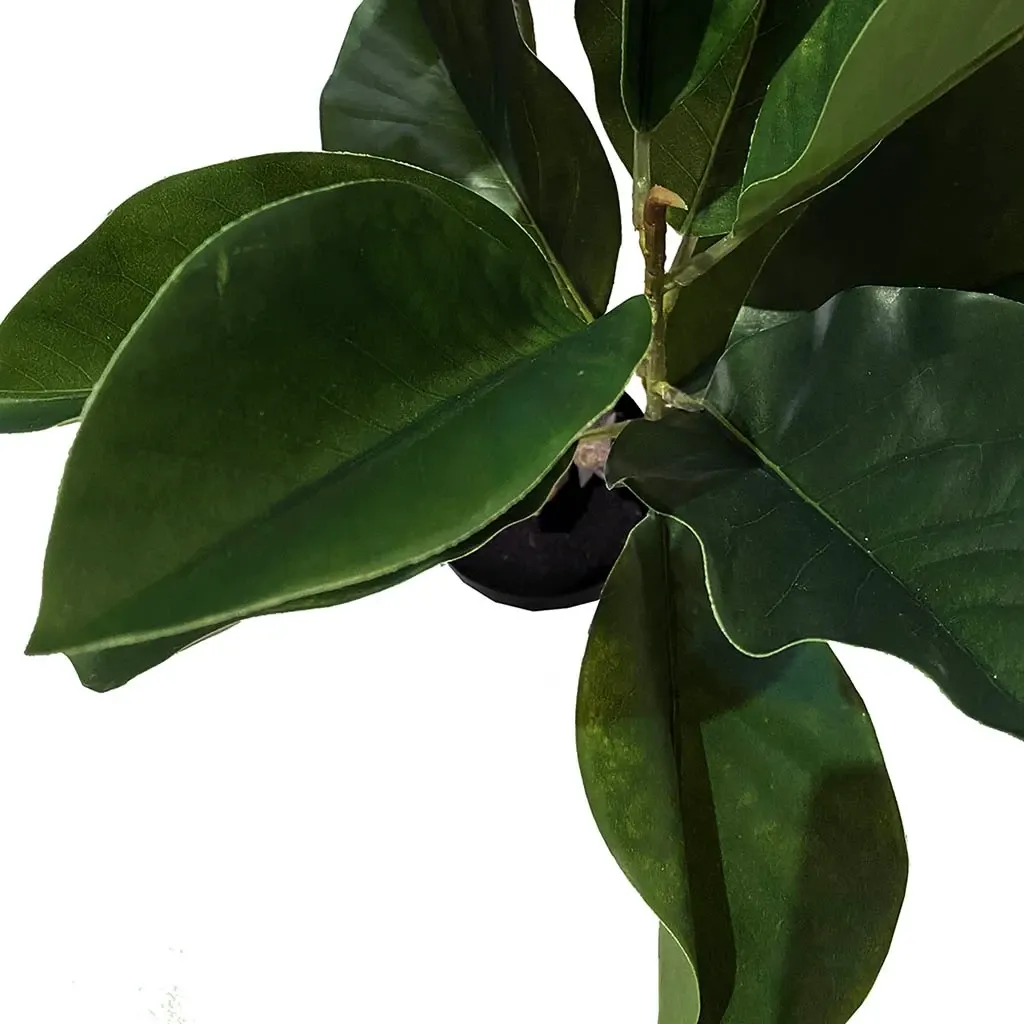 Buy Figentræ i potte, 80cm, kunstig plante