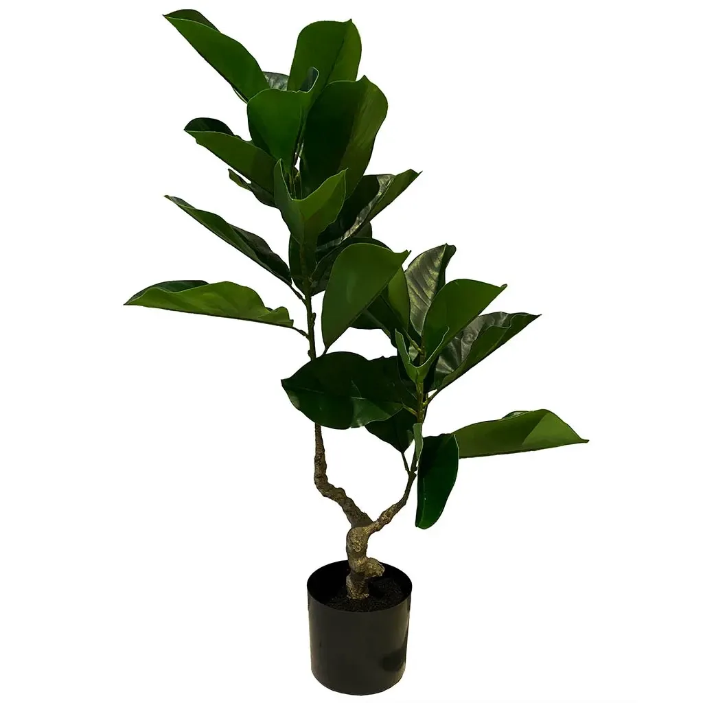 Buy Figentræ i potte, 80cm, kunstig plante