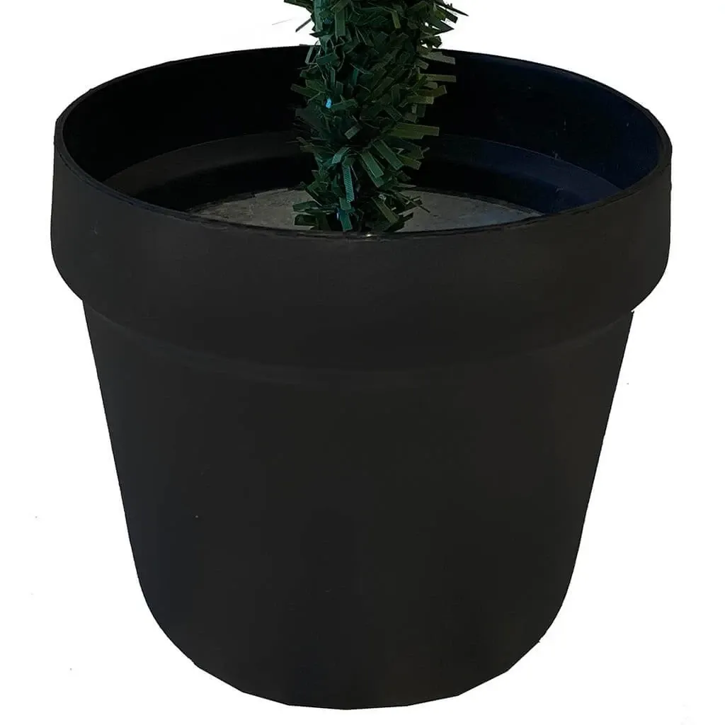 Buy Grandis grantræ, 60cm m sort potte, brandh.