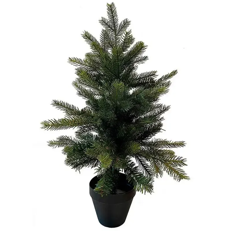 Buy Grandis grantræ, 75cm m sort potte, brandh.