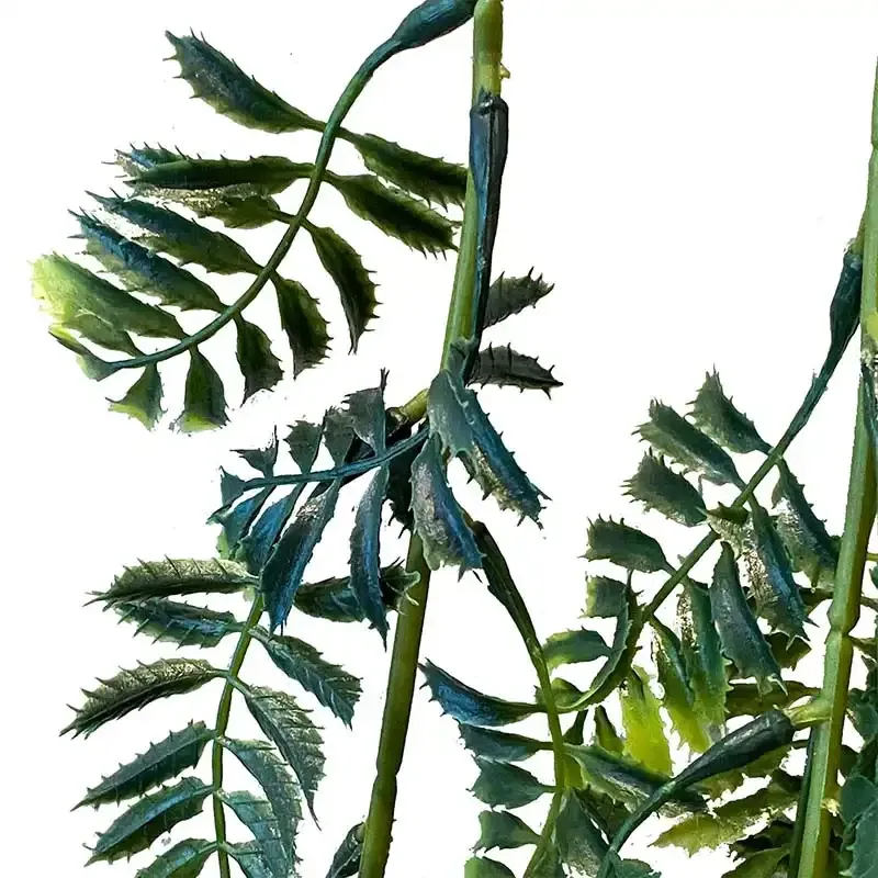 Buy Hænge mimosa, 80cm. UV, kunstig plante