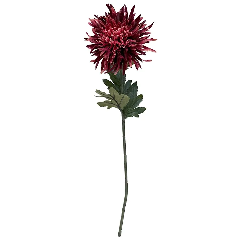 Buy Krysantemum, Chrysanthemum, 75 cm. kunstig
