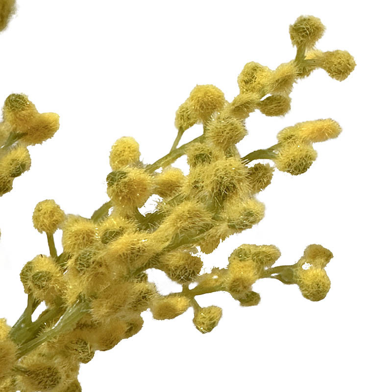 Buy Mimosa, 48cm, gul, kunstig blomst