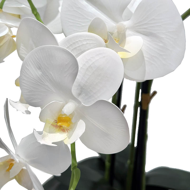 Buy Orkide i cementpotte, 57cm, kunstig blomst