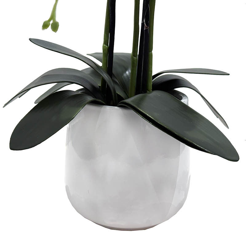 Buy Orkide i cementpotte, 57cm, kunstig blomst