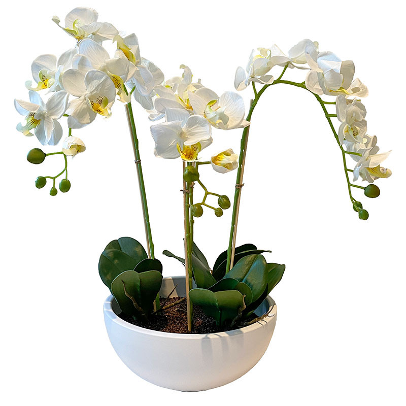 Buy Orkide i hvid potte, 4 grene, 60cm, kunstig