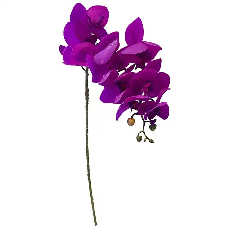 Buy Orkide på stilk, pink, 77cm, kunstig blomst