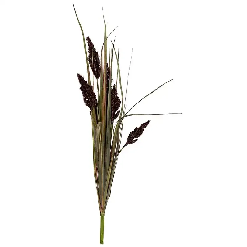 Buy Pampas græs i bundt, lilla/grøn, 89cm
