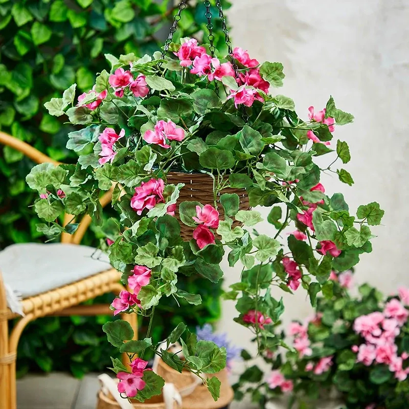 Buy Storkenæb, geranium, hænger i kurv, UV, 45cm