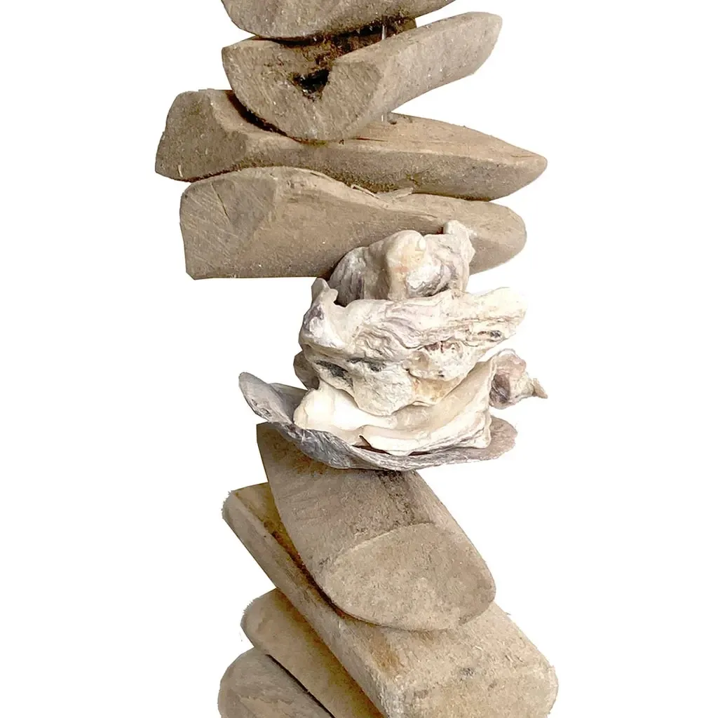 Buy Strandskalle ranke, 100cm, ægte skaller