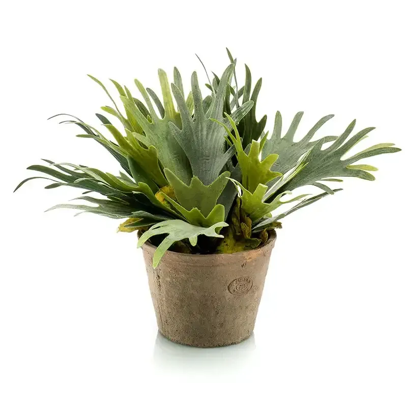 Buy Sukkulent i krukke, 38cm, kunstig plante