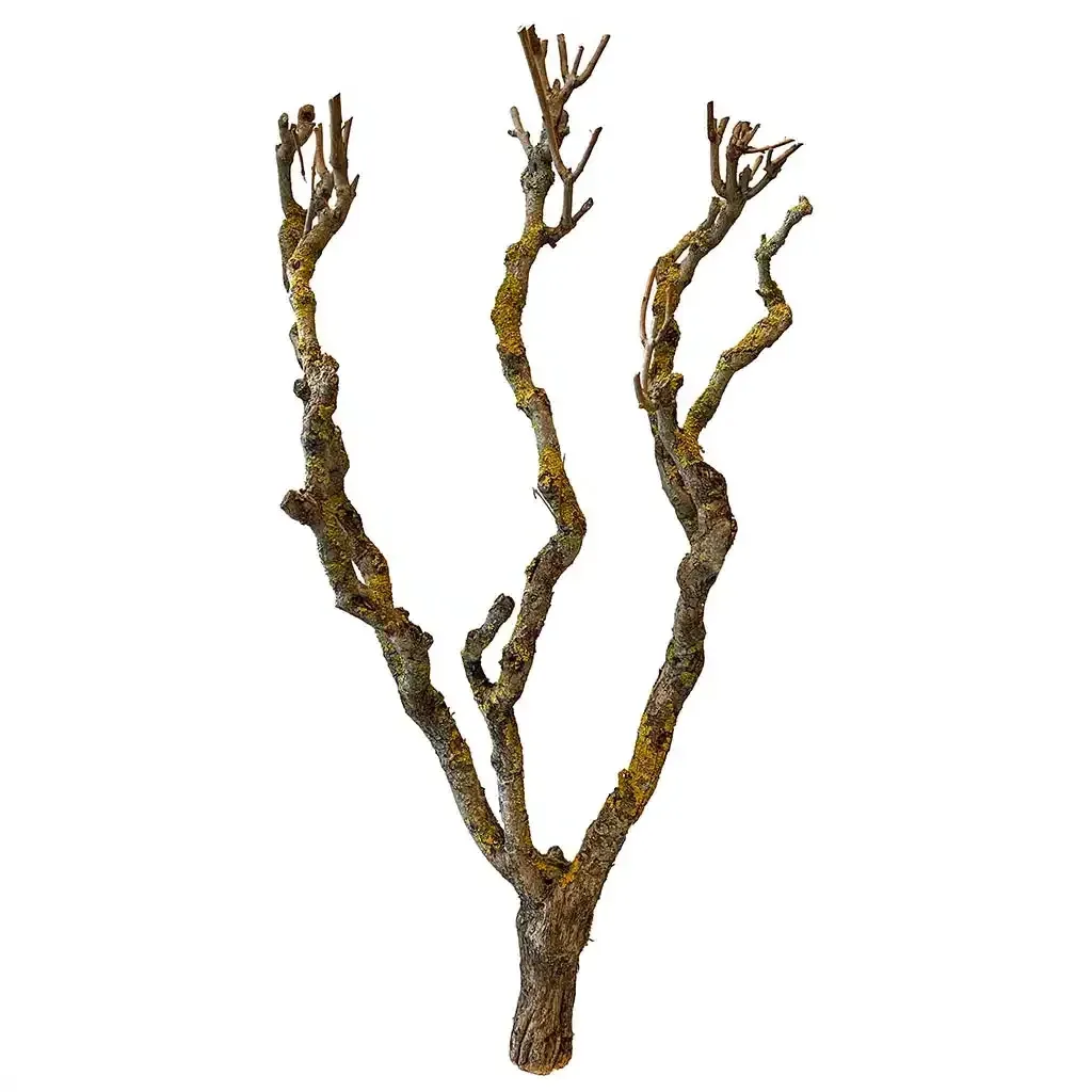 Buy Tør syrengren til dekoration 80-100cm