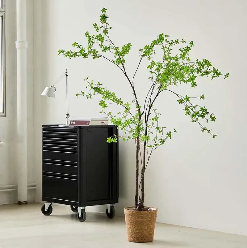 Buy Tropaeolum speciosum træ i potte, 210cm