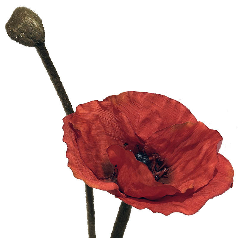 Buy Valmue, 60cm, rød, kunstig blomst