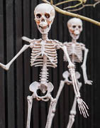 Halloween pynt | Sjove og hyggelige dekorationer