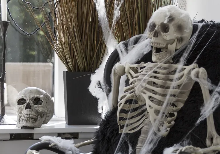 Plastik skelet og kranie til halloween udsmykning