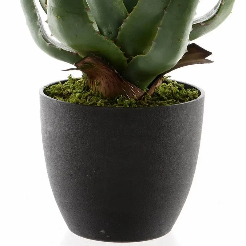 Køb Aloe vera plante i potte, 67cm, kunstig plante hos Brondsholm.dk