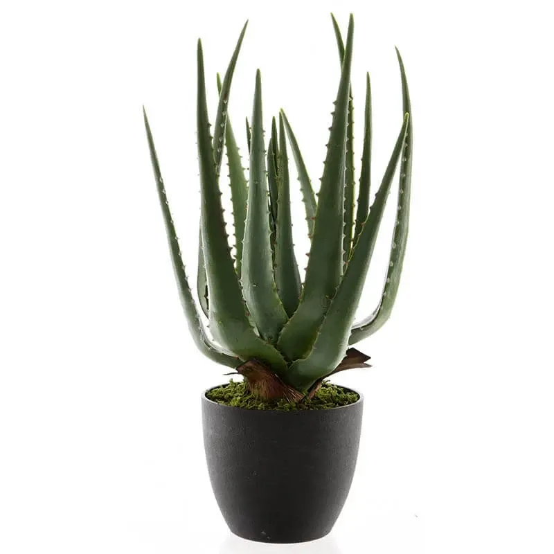 Køb Aloe vera plante i potte, 67cm, kunstig plante hos Brondsholm.dk