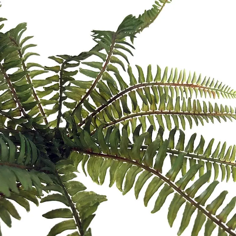 Køb Bregne 41cm, kunstig plante hos Brondsholm.dk