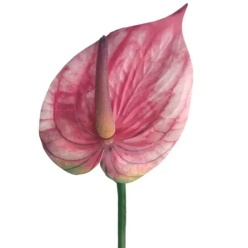 Køb Flamingo blomst, rosa, 45cm, kunstig blomst hos Brondsholm.dk