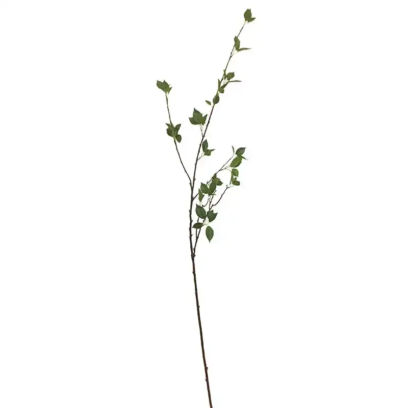 Køb Galnebær - Atropa bella-donna, 124cm, kunstig gren hos Brondsholm.dk