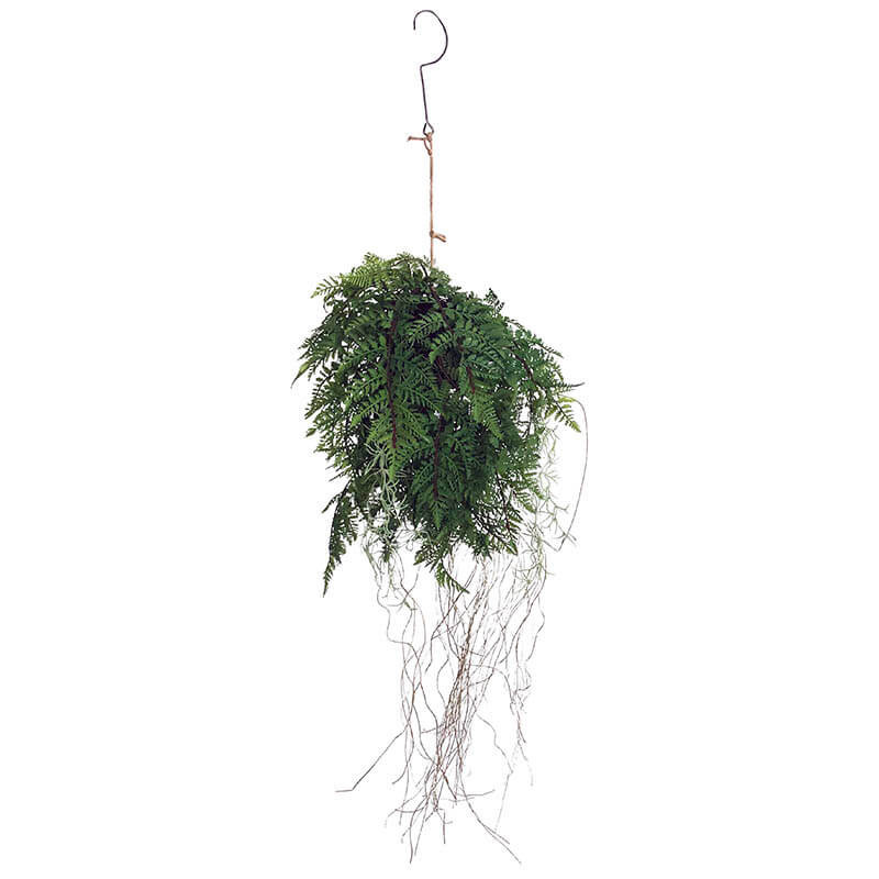 Køb Hængebregne på pilebold, Ø 35cm, kunstig plante hos Brondsholm.dk