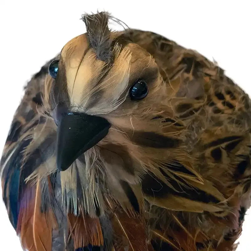 Køb Hun fasan, 15cm, kunstig dyr hos Brondsholm.dk