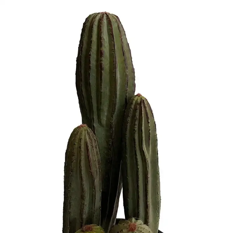 Køb Kaktus i sort potte 28cm, kunstig plante hos Brondsholm.dk