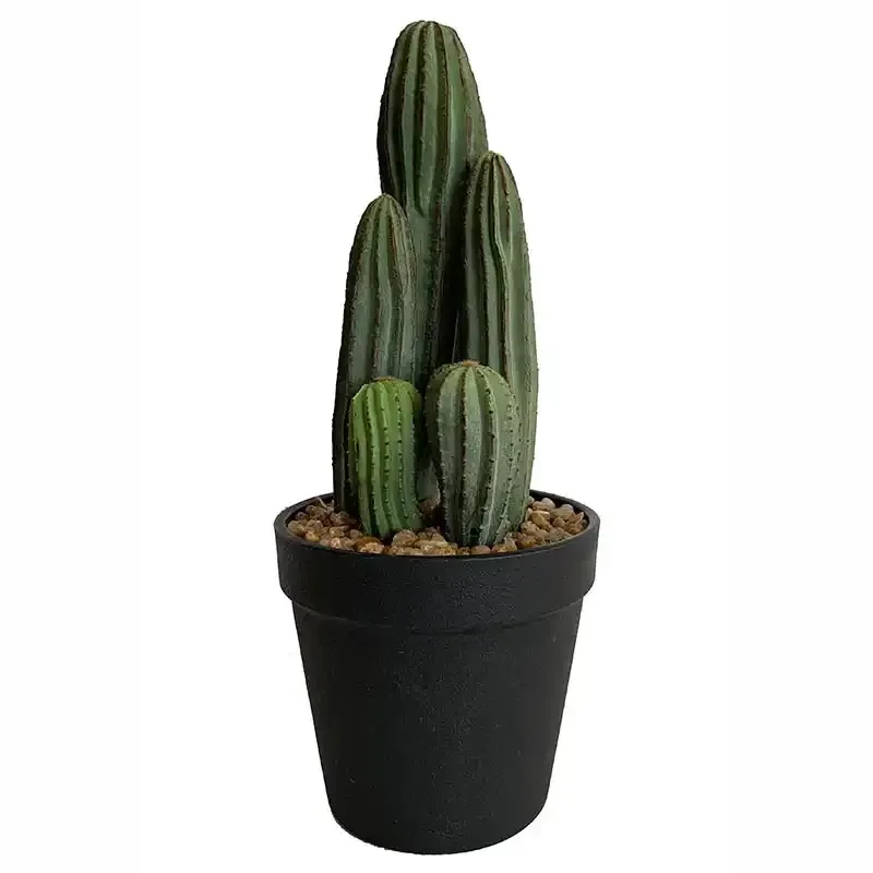 Køb Kaktus i sort potte 28cm, kunstig plante hos Brondsholm.dk