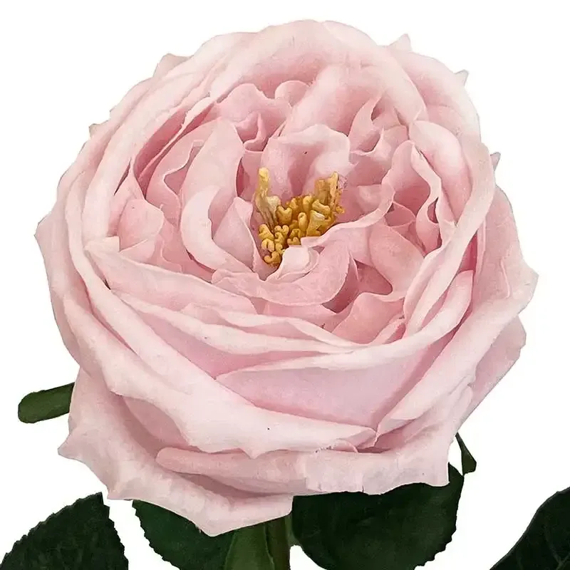 Køb Rose på stilk, fersken, 60cm, kunstig blomst hos Brondsholm.dk