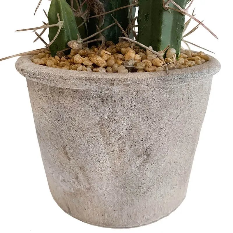 Køb Stetsonia Kaktus i krukke, H40cm, kunstig plante hos Brondsholm.dk