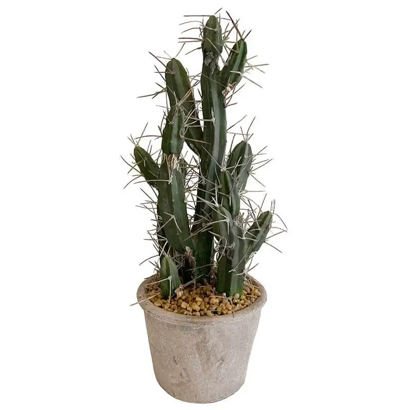 Køb Stetsonia Kaktus i krukke, H40cm, kunstig plante hos Brondsholm.dk
