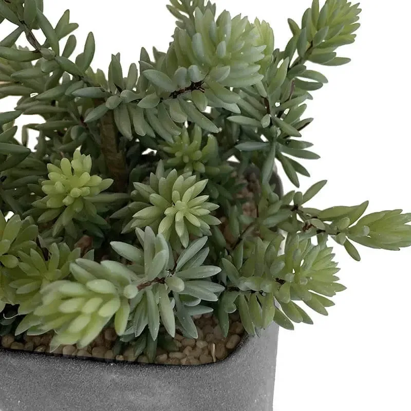 Køb Sukkulent i firkantet grå krukk, H27cm, kunstig plante hos Brondsholm.dk