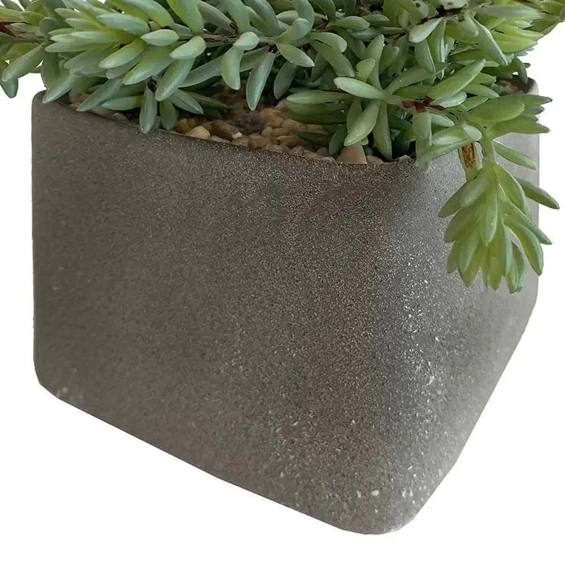 Køb Sukkulent i firkantet grå krukk, H27cm, kunstig plante hos Brondsholm.dk