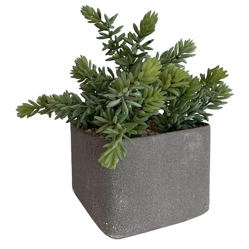 Køb Sukkulent i firkantet grå krukk, H27cm, kunstig plante hos Brondsholm.dk