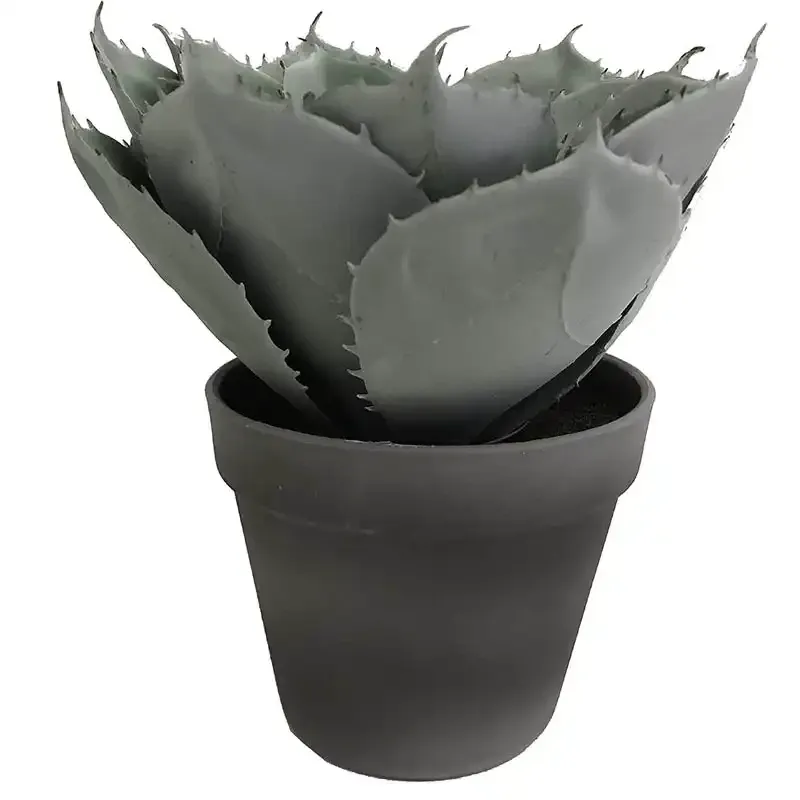 Køb Sukkulent i sort potte, 23cm, kunstig plante hos Brondsholm.dk