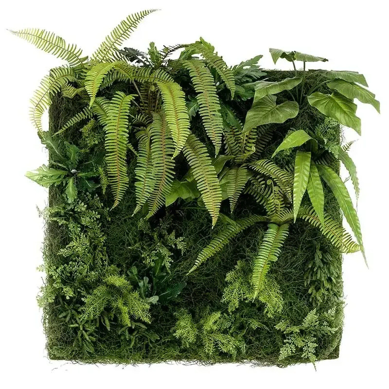Køb Væg panel af mos og planter, 100x100cm, kunstig planet hos Brondsholm.dk