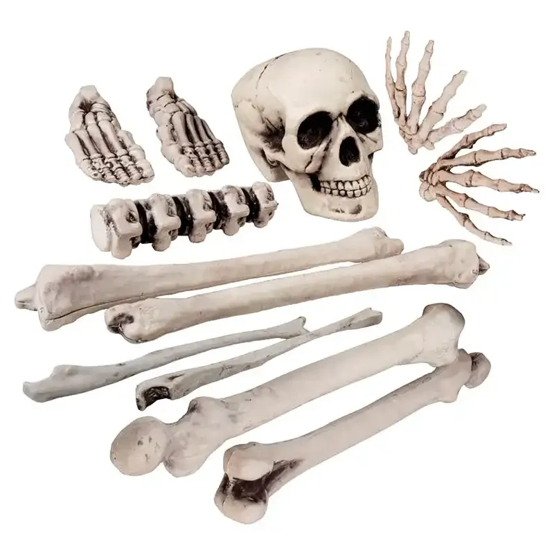 Knogler, sæt med 12 knogler, Halloween eller sørøvertema