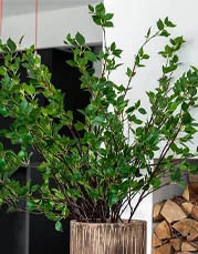 Kunstige grene
