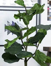 Kunstige store planter | Brøndsholm