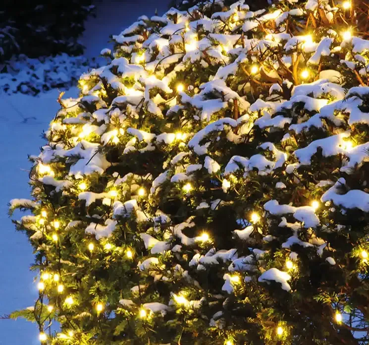 LED lysnet med grøn ledning