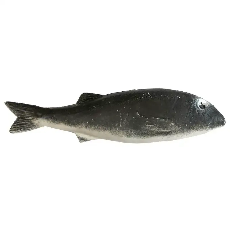 Multe (grå), kunstig fisk til dekoration - kunstige fødevare