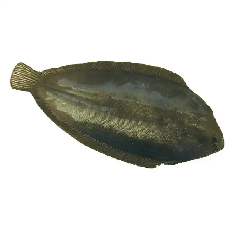 Søtunge, kunstig fisk til dekoration - kunstige fødevarer