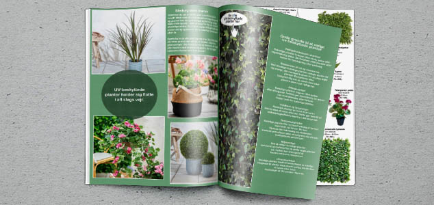 Magasin med tips og ideer til planter der er uv-beskyttede