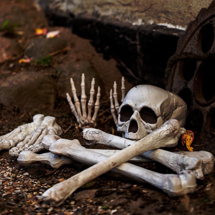 Brøndsholm - dekorationer til Halloween