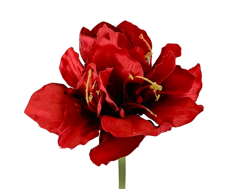 Kunstig amaryllis blomst i rød closeup