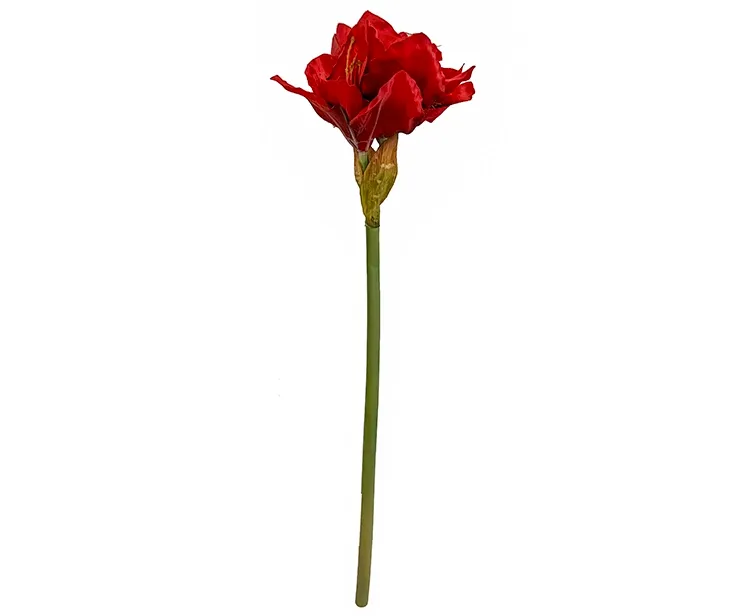 Kunstig amaryllis blomst i rød