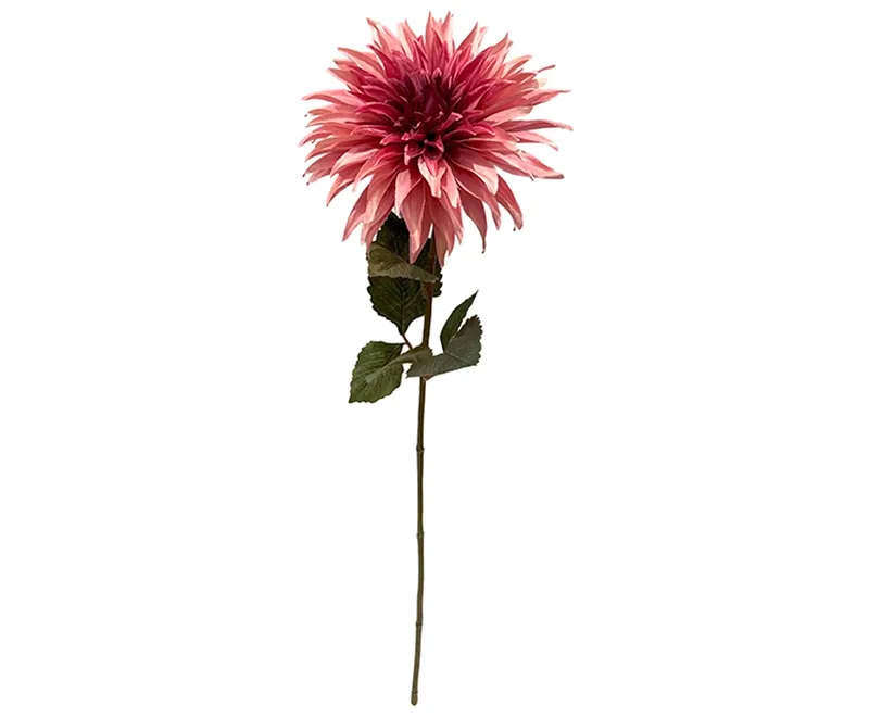 kunstig rosa farvet dahlia, georgine i plast