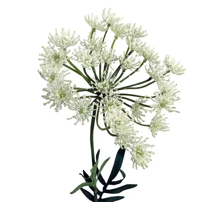 Kunstig dild blomst i hvid closeup