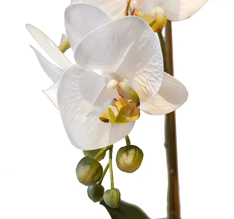 Kunstig orkide i hvid med hvid potte closeup